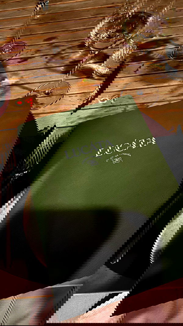 maayan.shaibi image ~ Altpins