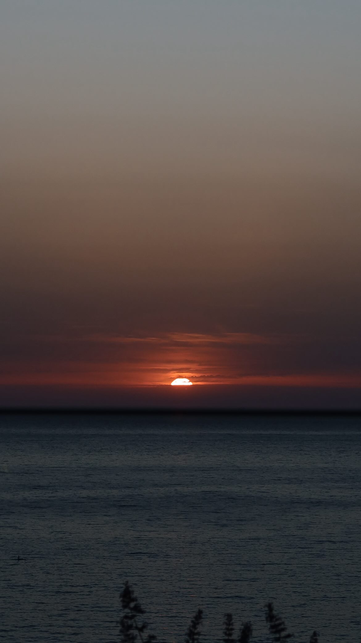 maayan.shaibi instagram image archive image