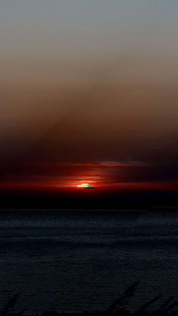 maayan.shaibi image ~ Altpins