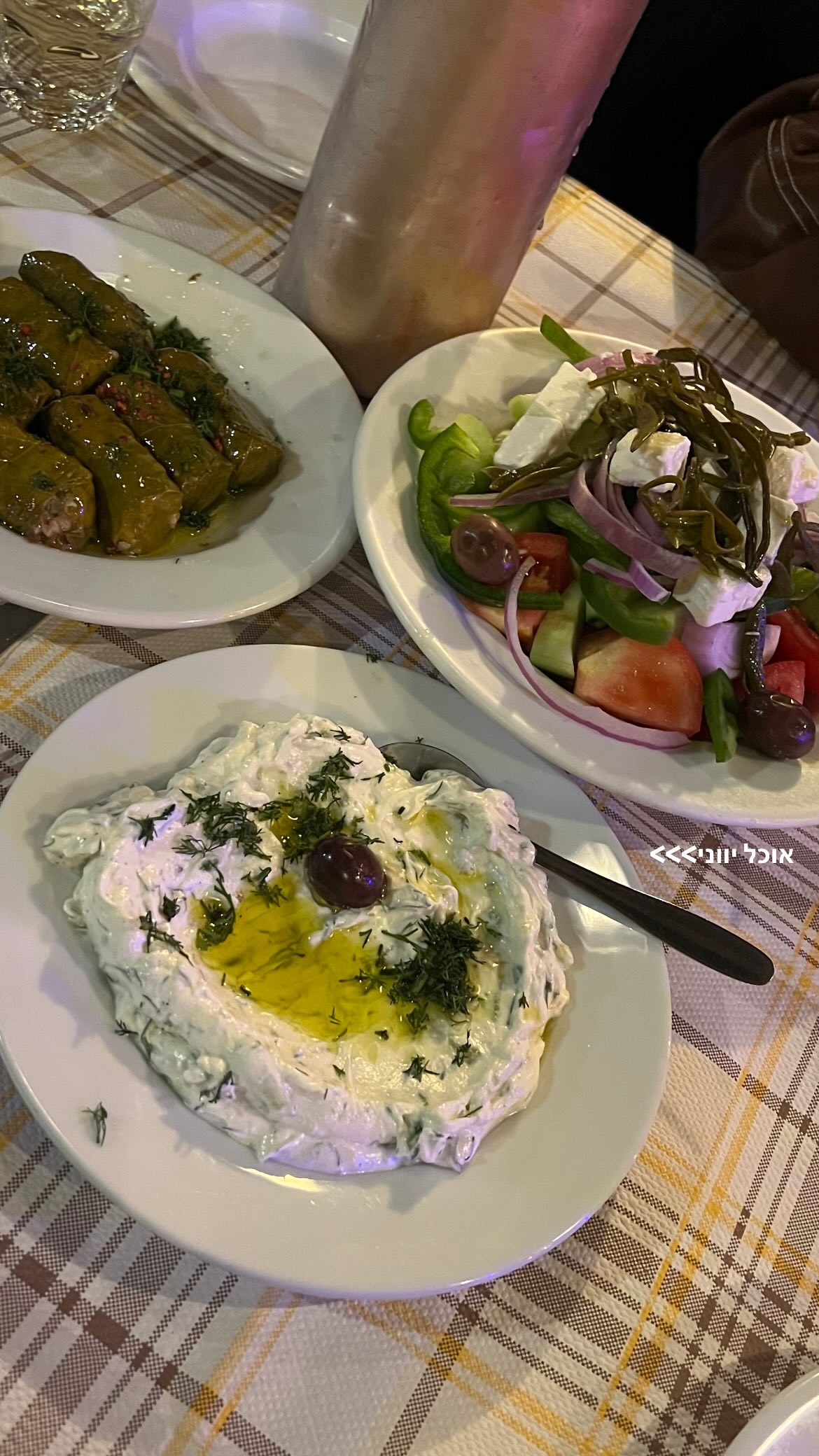 maayan.shaibi instagram image archive image