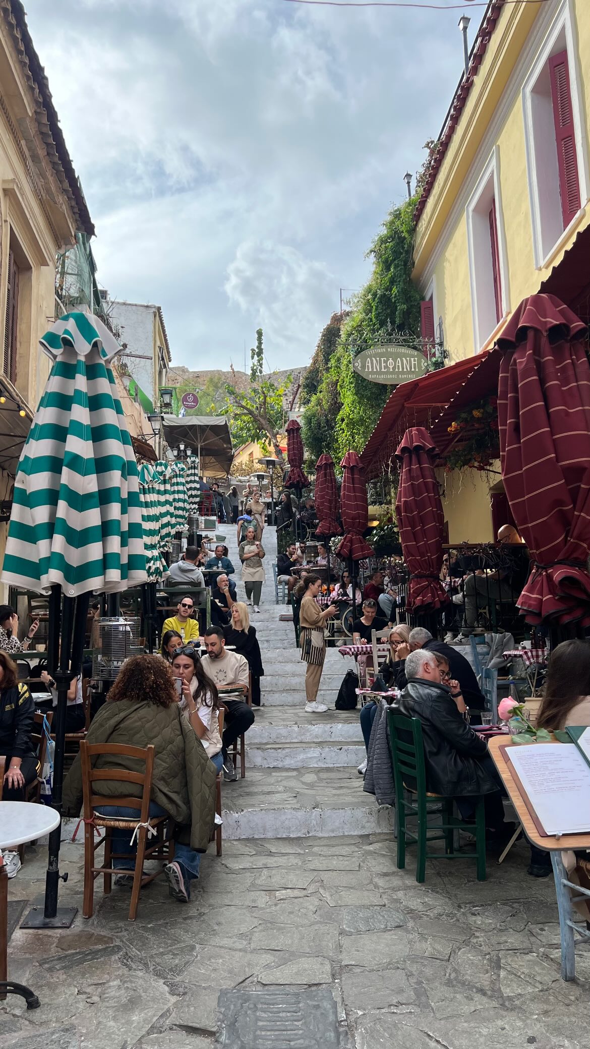 maayan.shaibi instagram image archive image