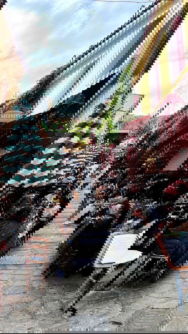 maayan.shaibi image ~ Altpins