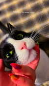 maayan191 Altpins Profile Picture