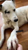 maayan191 Altpins Profile Picture
