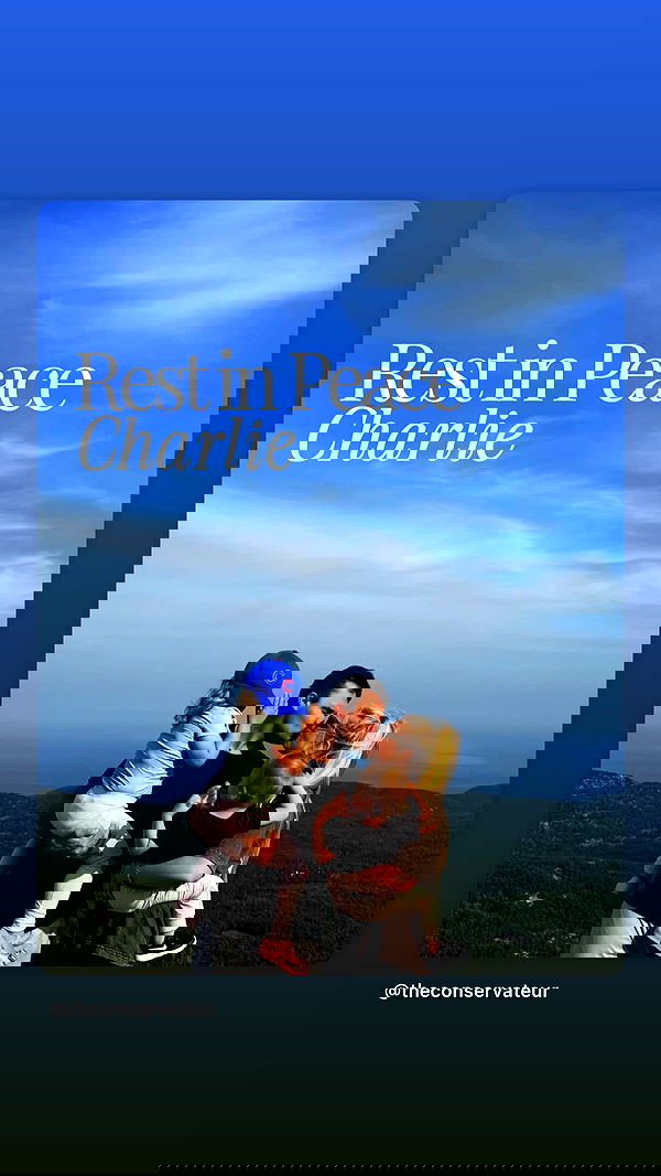 maayanshterengas maayanshterengas archive image