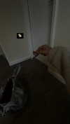 macyhannahx Altpins Profile Picture