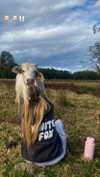 macyxjane_ Altpins Profile Picture