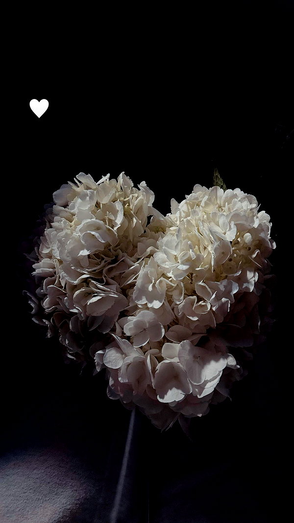 madsrulon madsrulon archive image