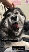 magg0tfleshh Altpins Profile Picture