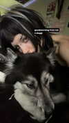 magg0tfleshh Altpins Profile Picture