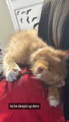 magg0tfleshh Altpins Profile Picture
