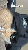 magg0tfleshh Altpins Profile Picture