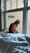 magg0tfleshh Altpins Profile Picture