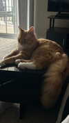 magg0tfleshh Altpins Profile Picture