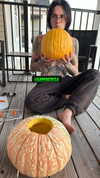 magg0tfleshh Altpins Profile Picture
