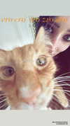 magg0tfleshh Altpins Profile Picture