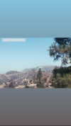 mai_glazer Altpins Profile Picture