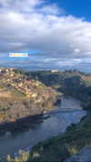 mai_glazer Altpins Profile Picture