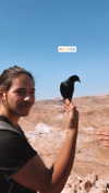 mai_glazer Altpins Profile Picture