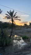 mai_glazer Altpins Profile Picture