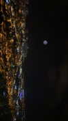 mai_glazer Altpins Profile Picture