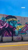 mai_glazer Altpins Profile Picture