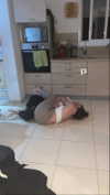 mai_glazer Altpins Profile Picture