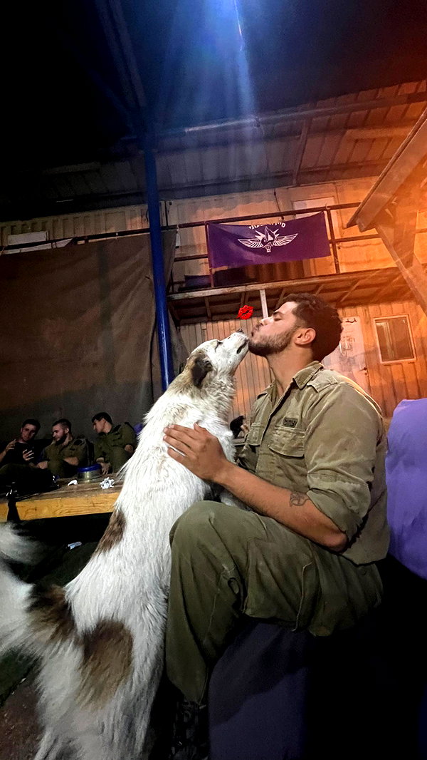 mai_glazer instagram image archive image