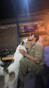 mai_glazer Altpins Profile Picture