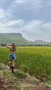mai_glazer Altpins Profile Picture