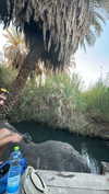 mai_glazer Altpins Profile Picture