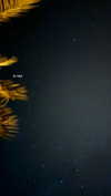 mai_glazer Altpins Profile Picture