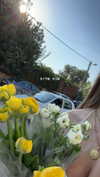 mai_glazer Altpins Profile Picture