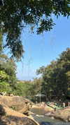 mai_glazer Altpins Profile Picture
