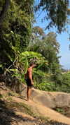 mai_glazer Altpins Profile Picture
