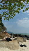 mai_glazer Altpins Profile Picture