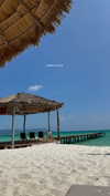mai_glazer Altpins Profile Picture