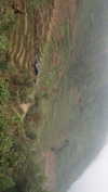mai_glazer Altpins Profile Picture