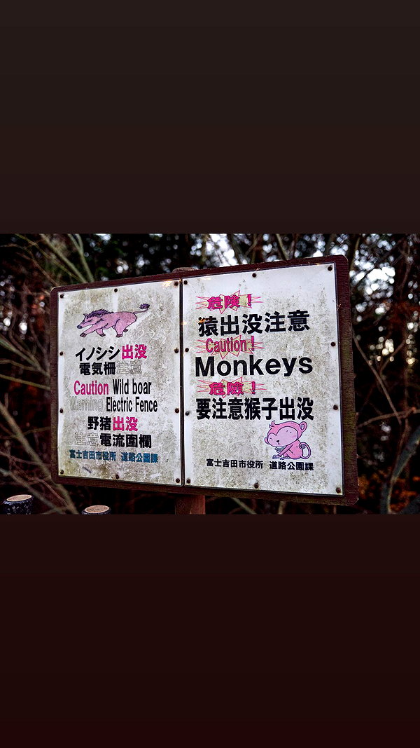 maomao.418 maomao.418 archive image