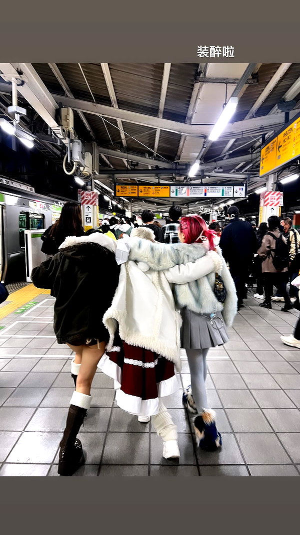 maomao.418 maomao.418 archive image