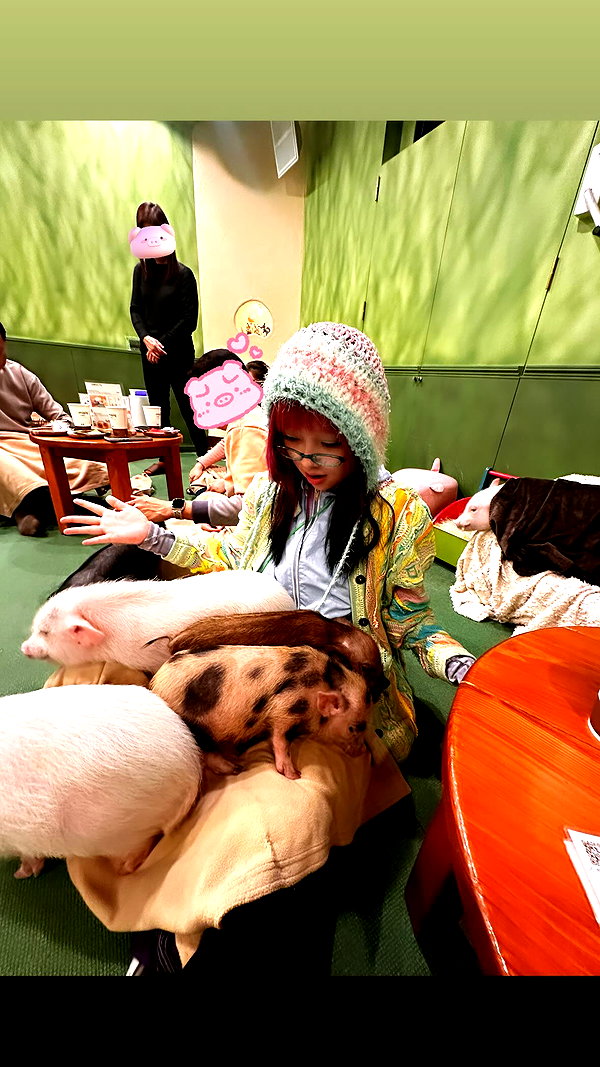 maomao.418 maomao.418 archive image