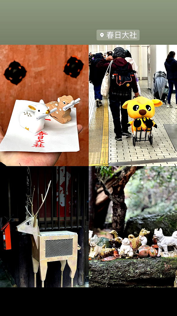 maomao.418 maomao.418 archive image