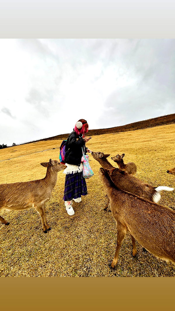 maomao.418 maomao.418 archive image