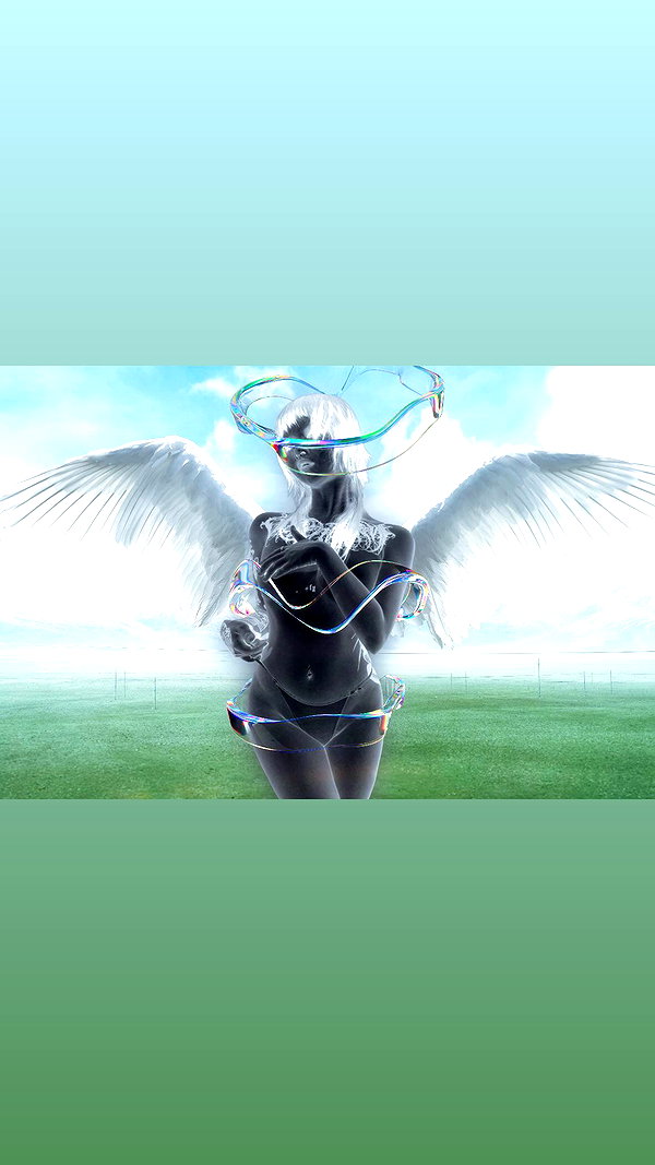 maomao.418 maomao.418 archive image