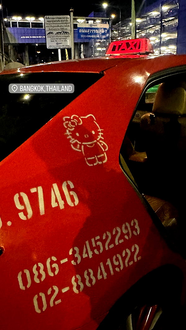 maomao.418 instagram image archive image
