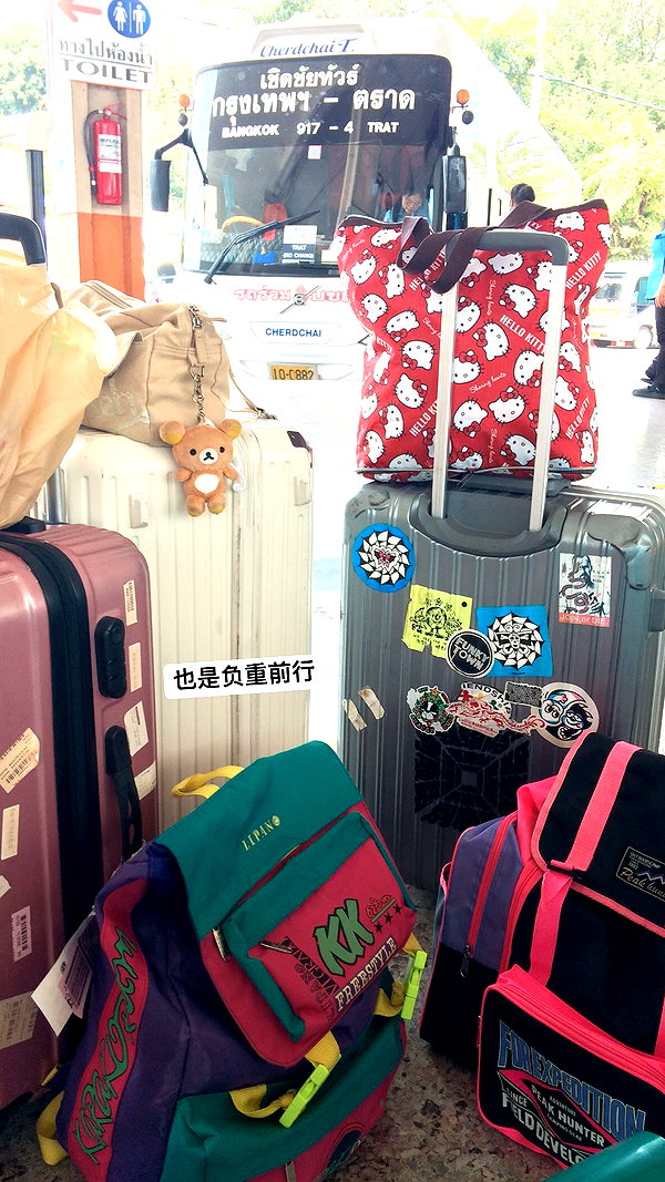 maomao.418 maomao.418 archive image