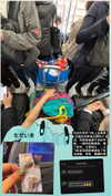 maomao.418 Altpins Profile Picture