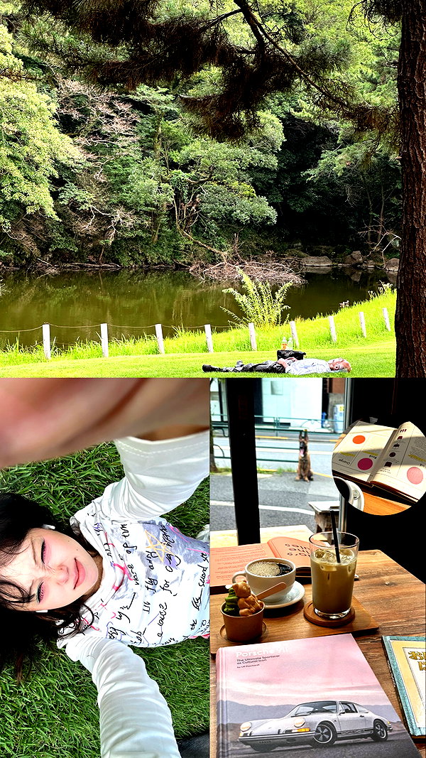 maomao.418 maomao.418 archive image