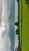 maria_gurevich_ Altpins Profile Picture