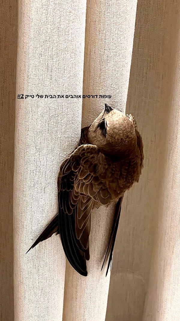 maria_vaisburd instagram image archive image